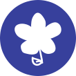 flower icon on blue background